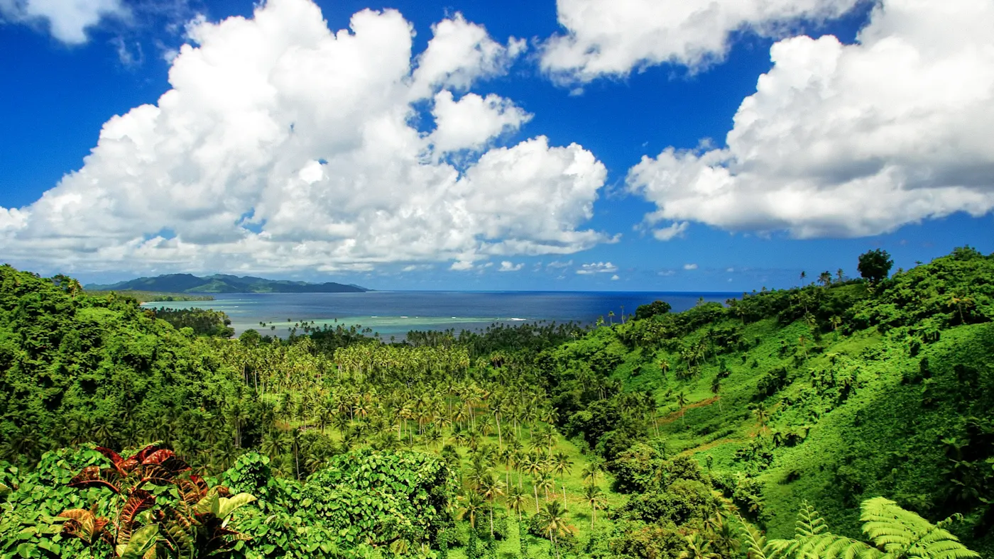 Taveuni, Fidschi Panoramablick über eine tropische Insel mit grünem Wald, Palmen und türkisblauem Meer. Taveuni, Fidschi