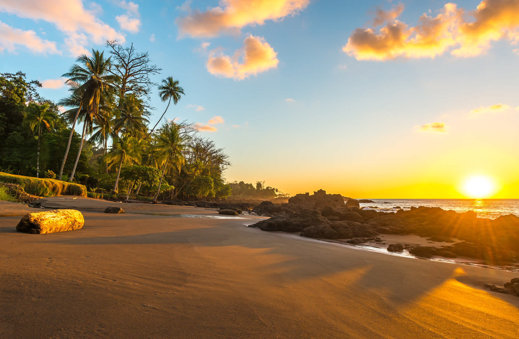 Coucher de soleil sur la plage bordée de palmiers du parc national de Corcovado sur l'océan Pacifique, au Costa Rica