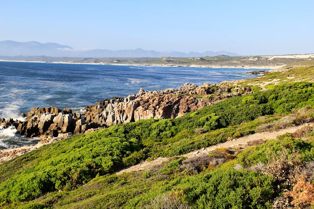 Südafrika, De Kelders De Kelders Klippen