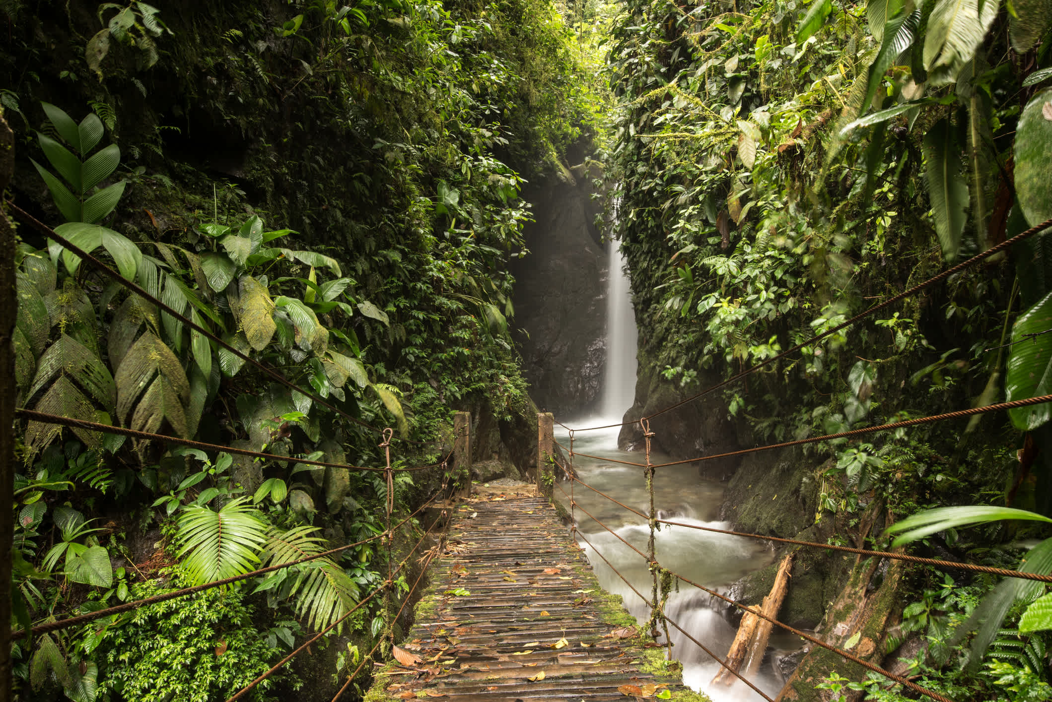 Wasserfälle des tropischen Regenwaldes in Mindo, Ecuador 