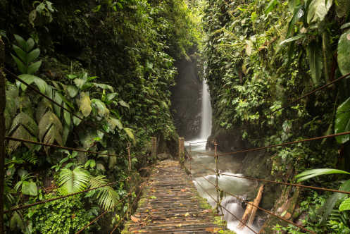 Wasserfälle des tropischen Regenwaldes in Mindo, Ecuador 