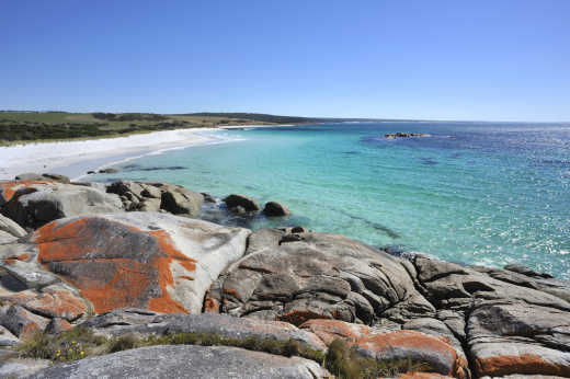 Rote Felsen in der Bay of Fires, Ostküste in Tasmanien, Australien