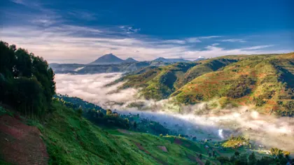 Unvergessliche Abenteuer: Uganda Safari - Image 2