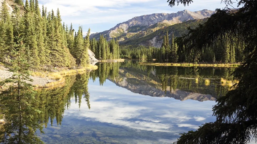 Spiegelbild von Bergen und Wäldern in einem ruhigen See. Denali National Park, Alaska, USA.