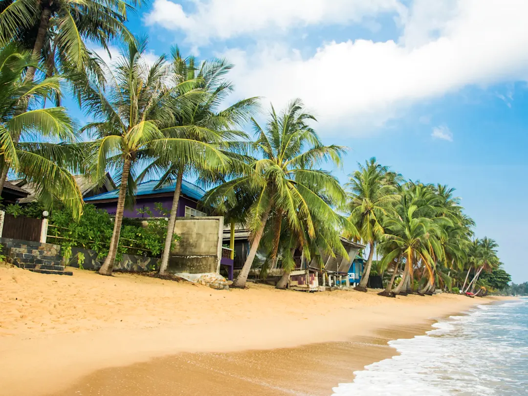 Palmenstrand mit bunten Häusern entlang des goldenen Sandes. Maenam Beach, Koh Samui, Thailand.