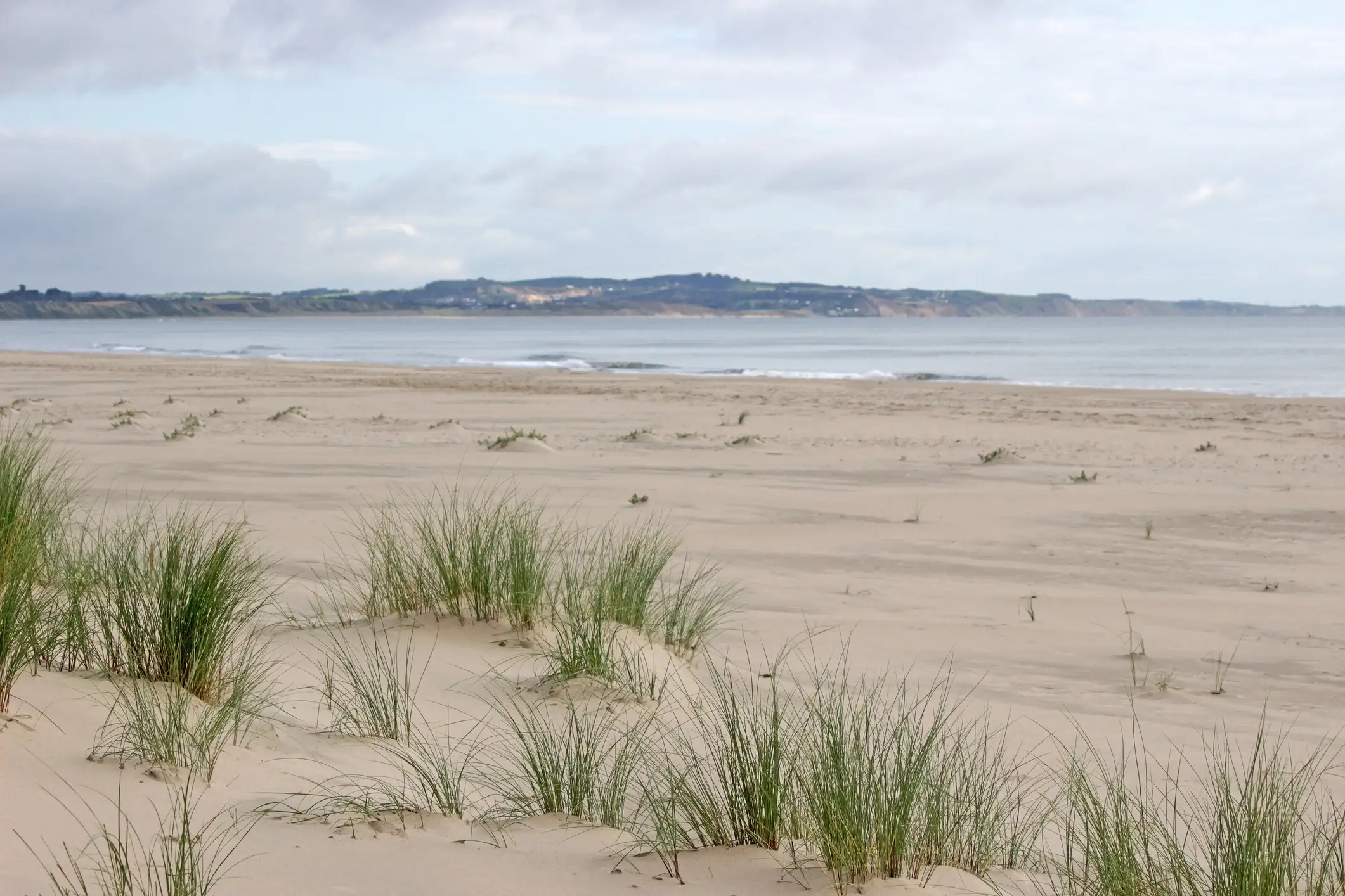 Irland, Wexford Grasbewachsene Dünen am Strand von Curracloe in Wexford, Irland.