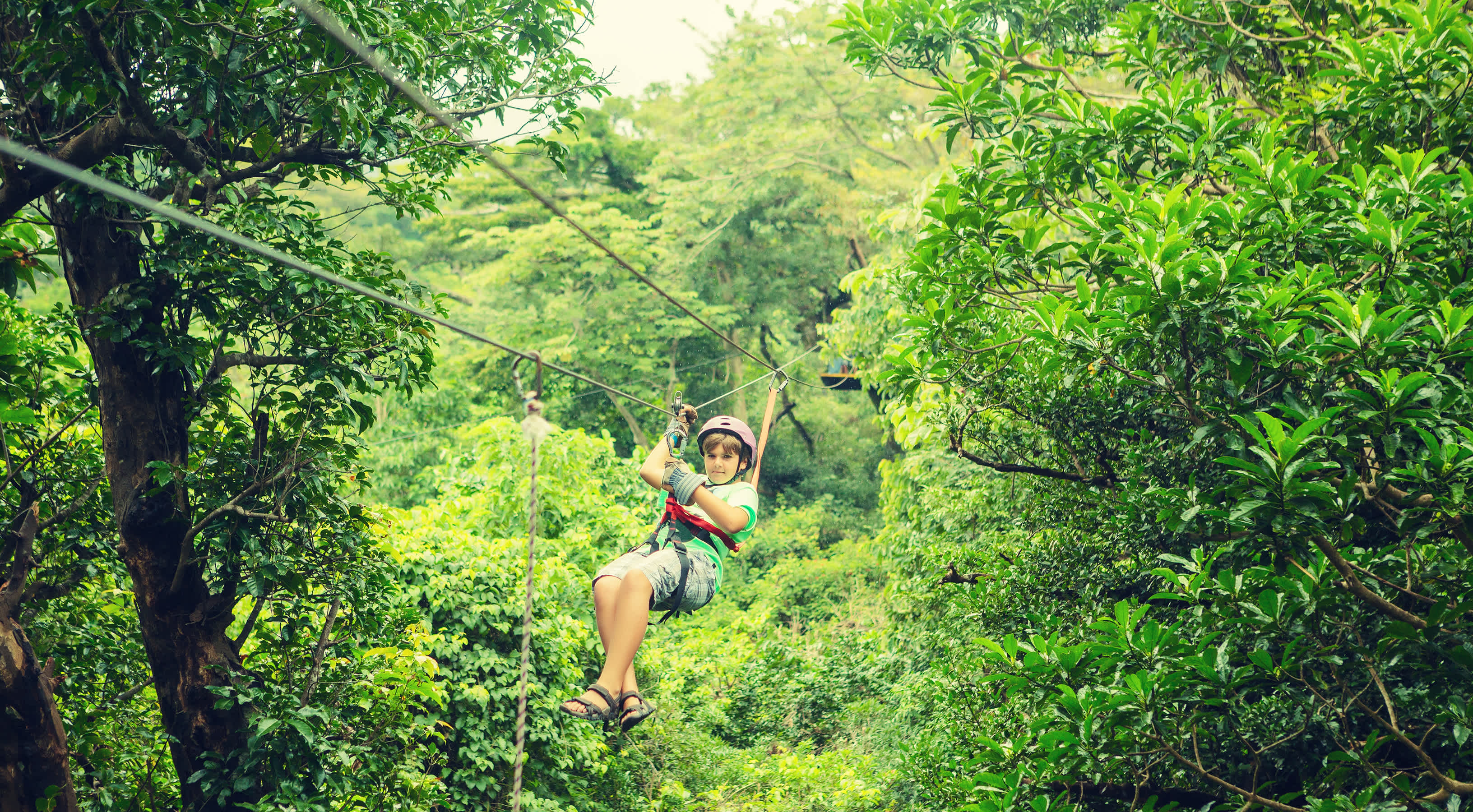 Un enfant sur une tyrolienne lors d'une visite de la canopée au Costa Rica.