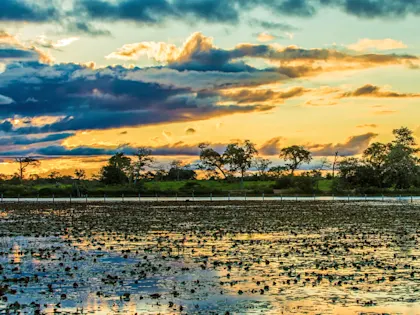 Itinéraire au Brésil de 3 semaines de Rio jusqu'au Nord - Image 1