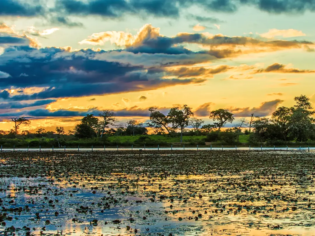 Brasilien, Mato Grosso, Pantanal Sonnenuntergang über Feuchtgebiet mit Seerosen. Pantanal, Mato Grosso, Brasilien.