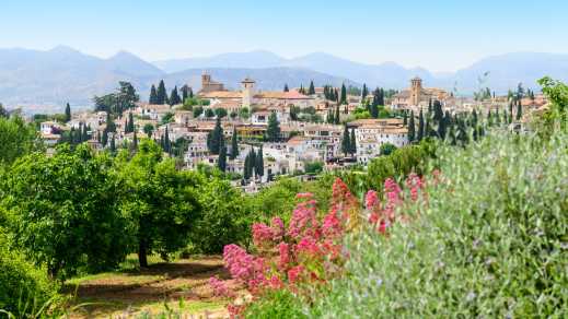 Vue sur une végétation verdoyant avec la vieille ville en arrière-plan, à Grenade, en Espagne