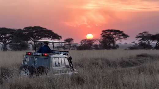 Voyageur debout dans sa Jeep 4x4 lors d'un voyage en Tanzanie et Zanzibar, en train d'admirer le coucher du soleil sur la savane.
