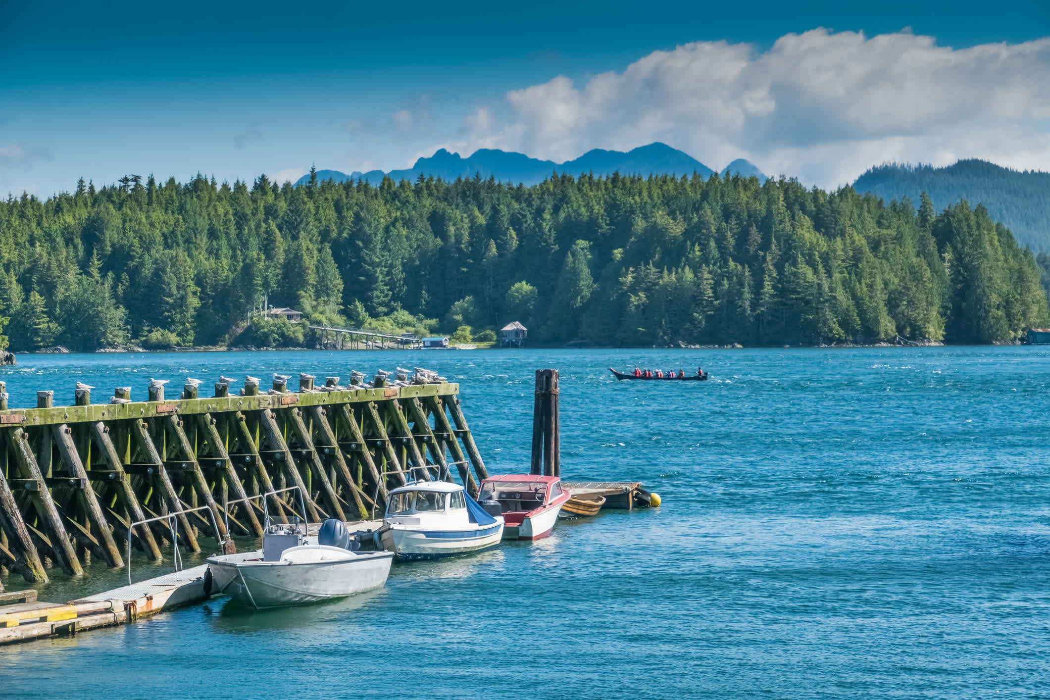 Tofino, sur la côte ouest de l'île de Vancouver, est une destination de choix pour les surfeurs, les amoureux de la nature, les observateurs de baleines, et tous ceux qui souhaitent être proches de la nature