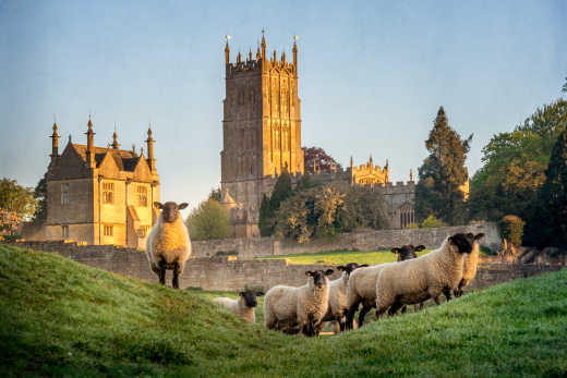Discover the beautiful Chipping Campden and its churches and sheep on a Cotswolds tour