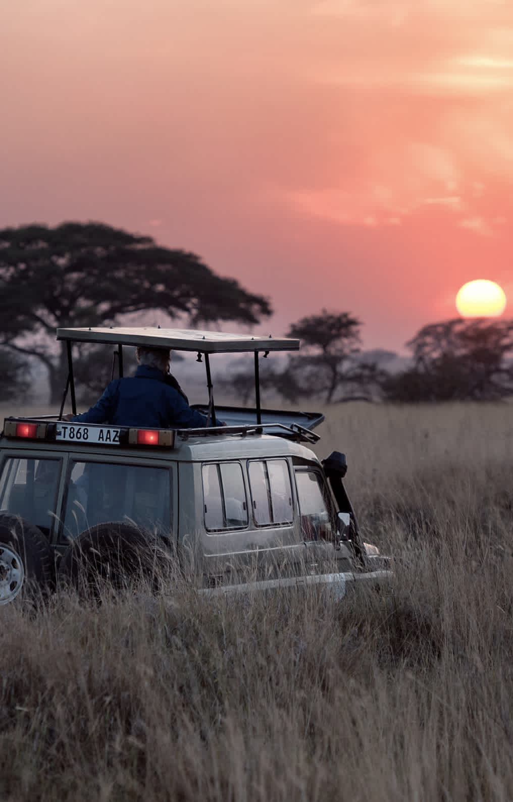 Vue sur le soleil couchant dans la jungle à bord d'une Jeep, Afrique du Sud