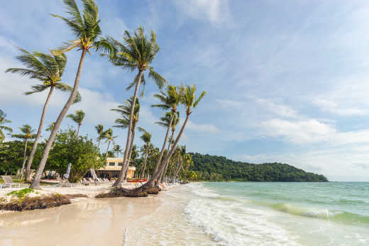 Tropische Palmen am wunderschönen Bai Sao Strand in Vietnam auf der Insel Phu Quoc