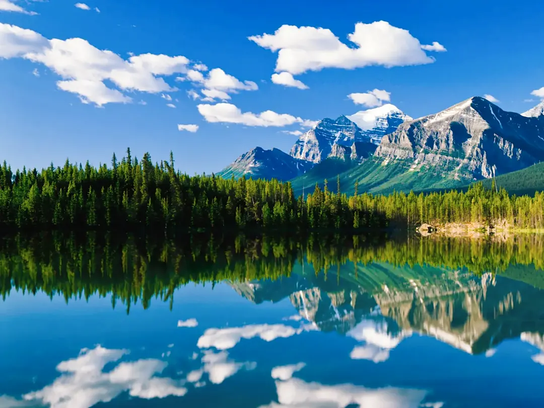 Bergsee mit reflektierenden Gipfeln und dichten Wäldern unter blauem Himmel. Banff, Alberta, Kanada.
