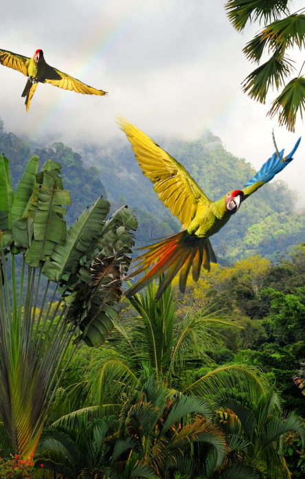 Die beste Reisezeit für Costa Rica