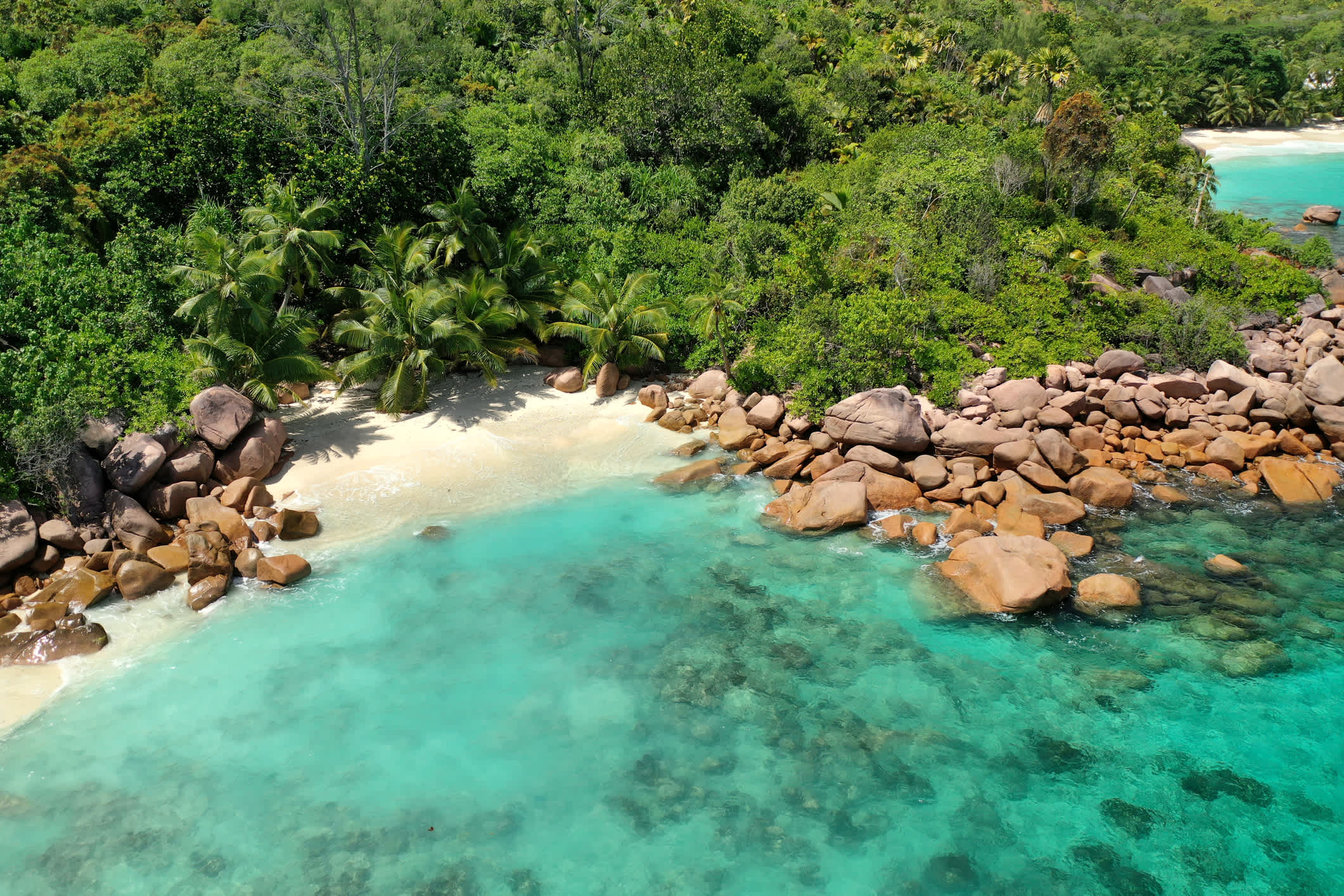 Drohnenansicht des Strandes auf den Seychellen. Mahe, La Digue Inseln, Seychellen.