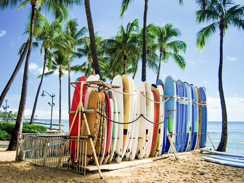 États-Unis, Oahu, Plage de Waikiki, planches de surf Collection colorée de planches de surf soigneusement alignées sur la plage sous les palmiers. Plage de Waikiki, Oahu, États-Unis.