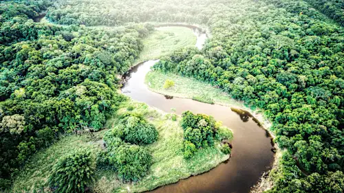 Brasilien-image