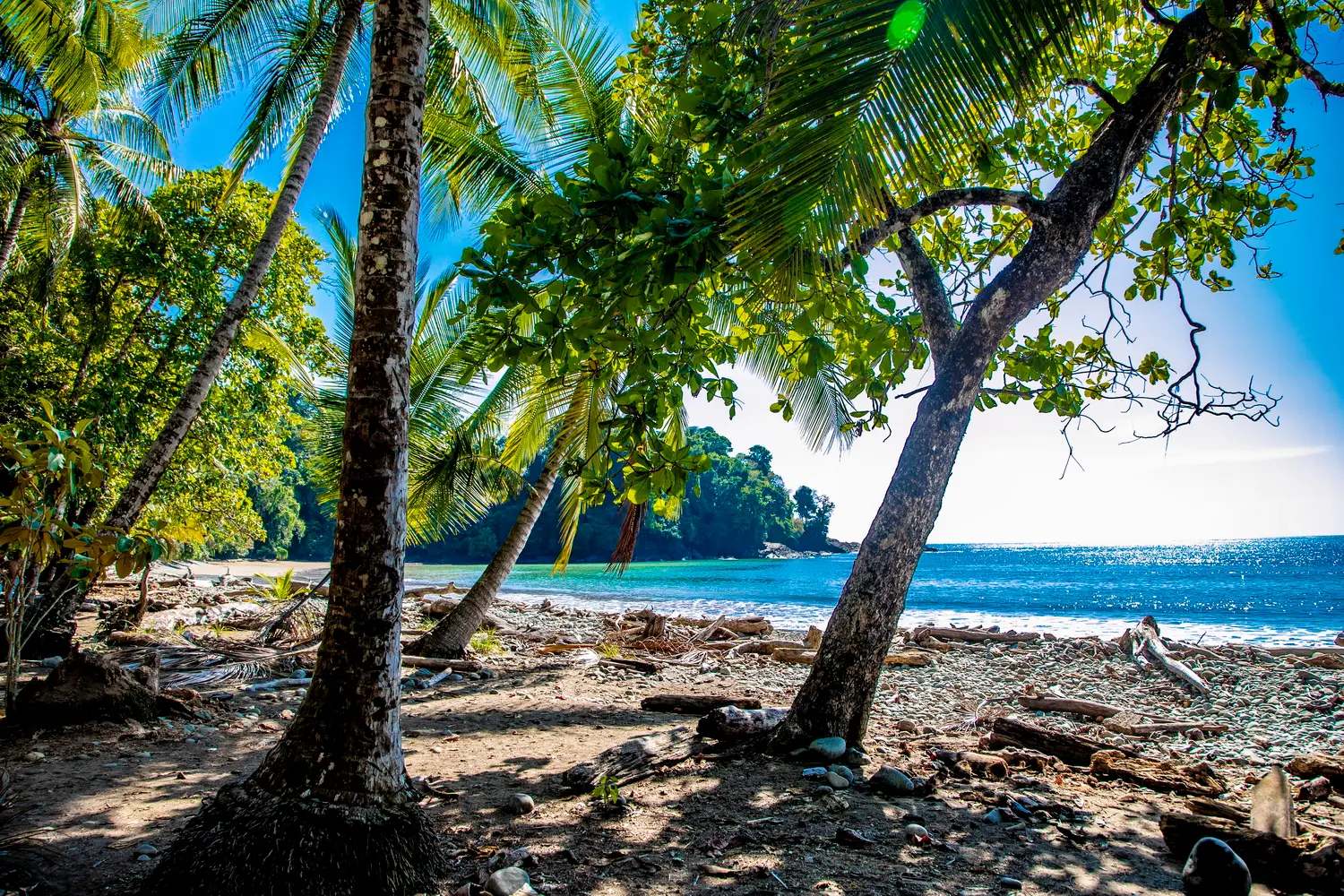 Customer Review - Costa Rica - Elli Mächtlen - Photo 3 Blick auf den Strand in Costa Rica - Foto von Tourlane Kundin Elvira Mächtlen