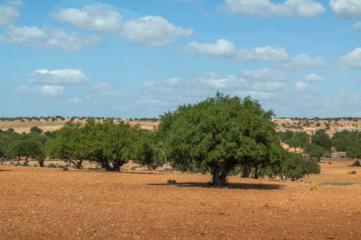 Hiking Marokko