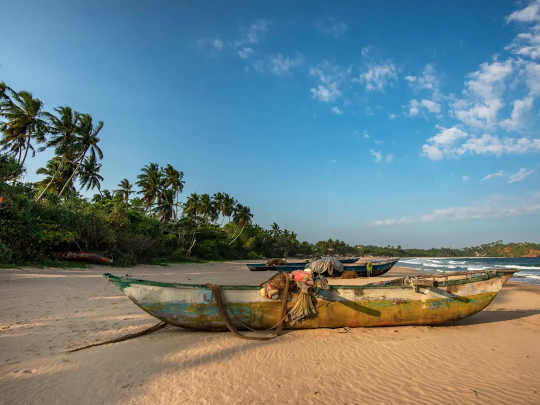 Alte bunte Fischerboote auf goldenem Sandstrand unter Palmen. Tangalle, Sri Lanka.