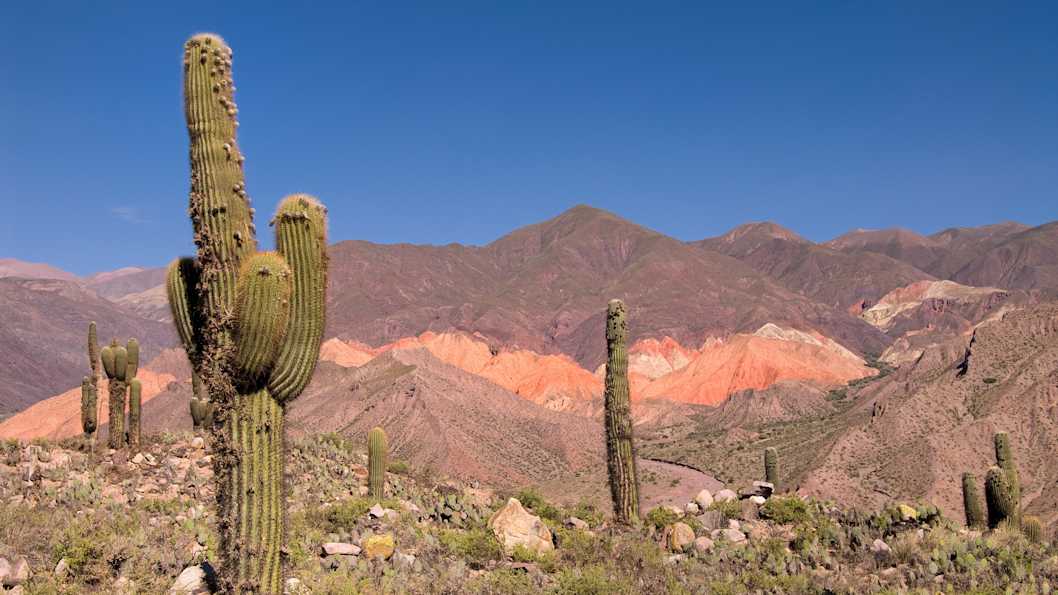 Argentinien Rundreise 2 Wochen Tourlane