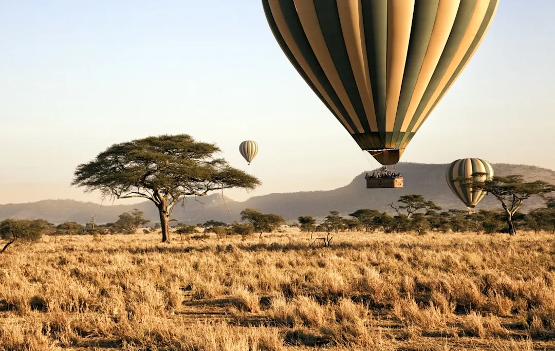 Serengeti, Tansania Heißluftballons schweben über der Savanne bei Sonnenaufgang. Serengeti, Tansania.