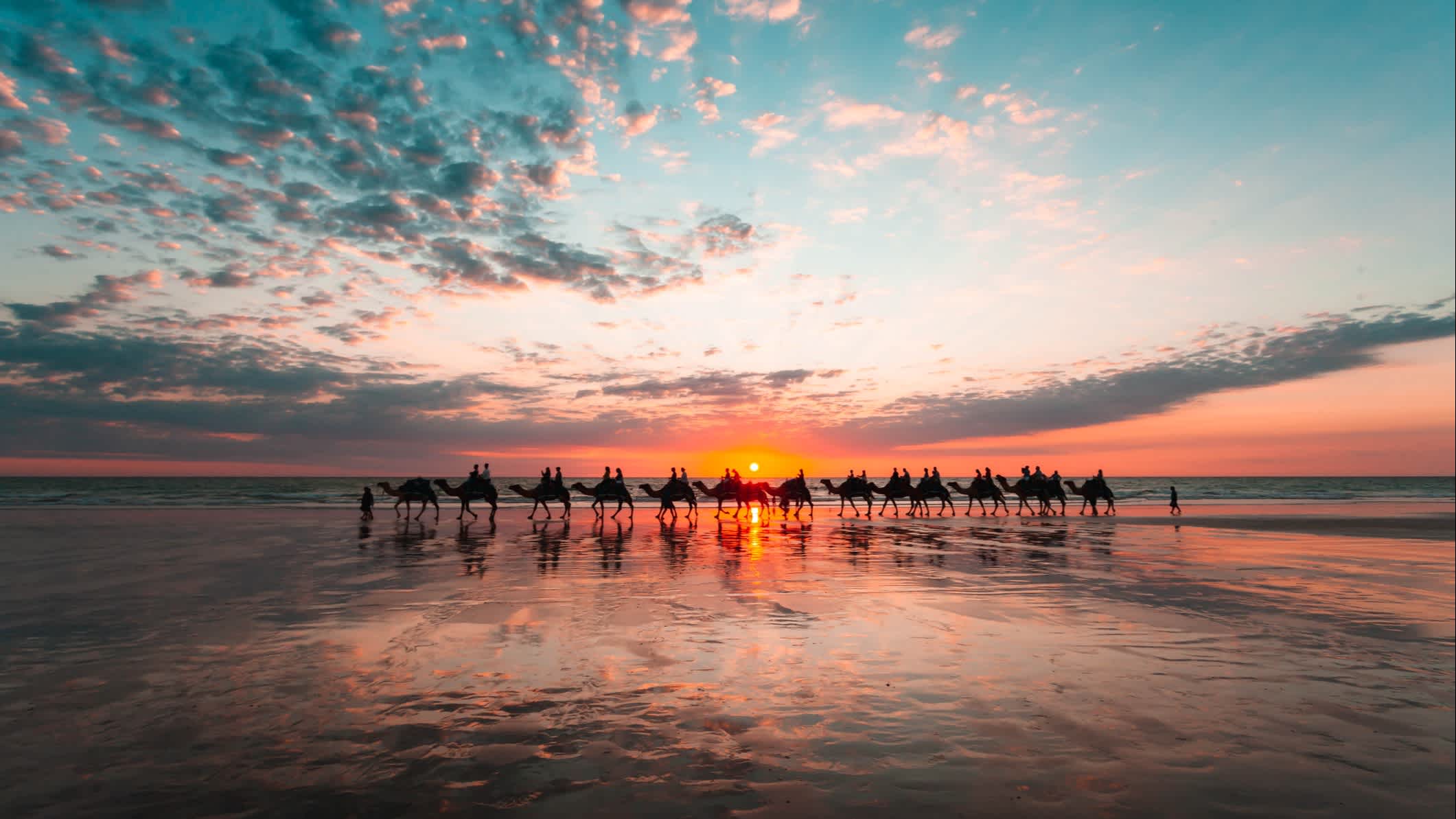 Kamele auf den Cable Beach in Broome, Westaustralien.