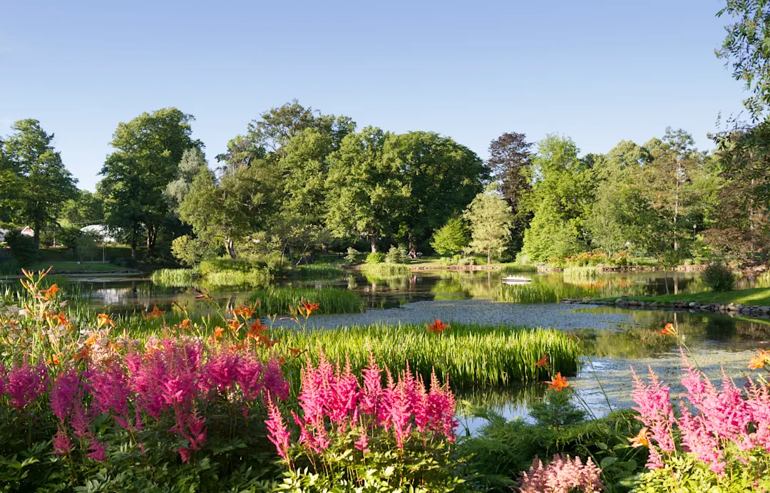 Halifax Public Gardens Bild des Halifax Public Gardens
