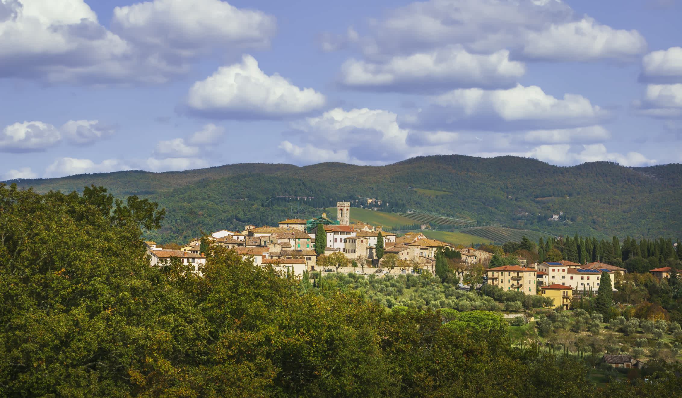 La vue panoramique de Radda dans la région du Chianti, en Toscane, en Italie.