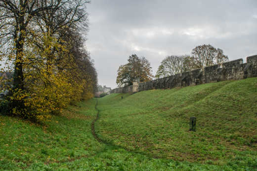 Jorvik Viking Centre 