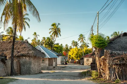 Entre safari et plage - Image 1