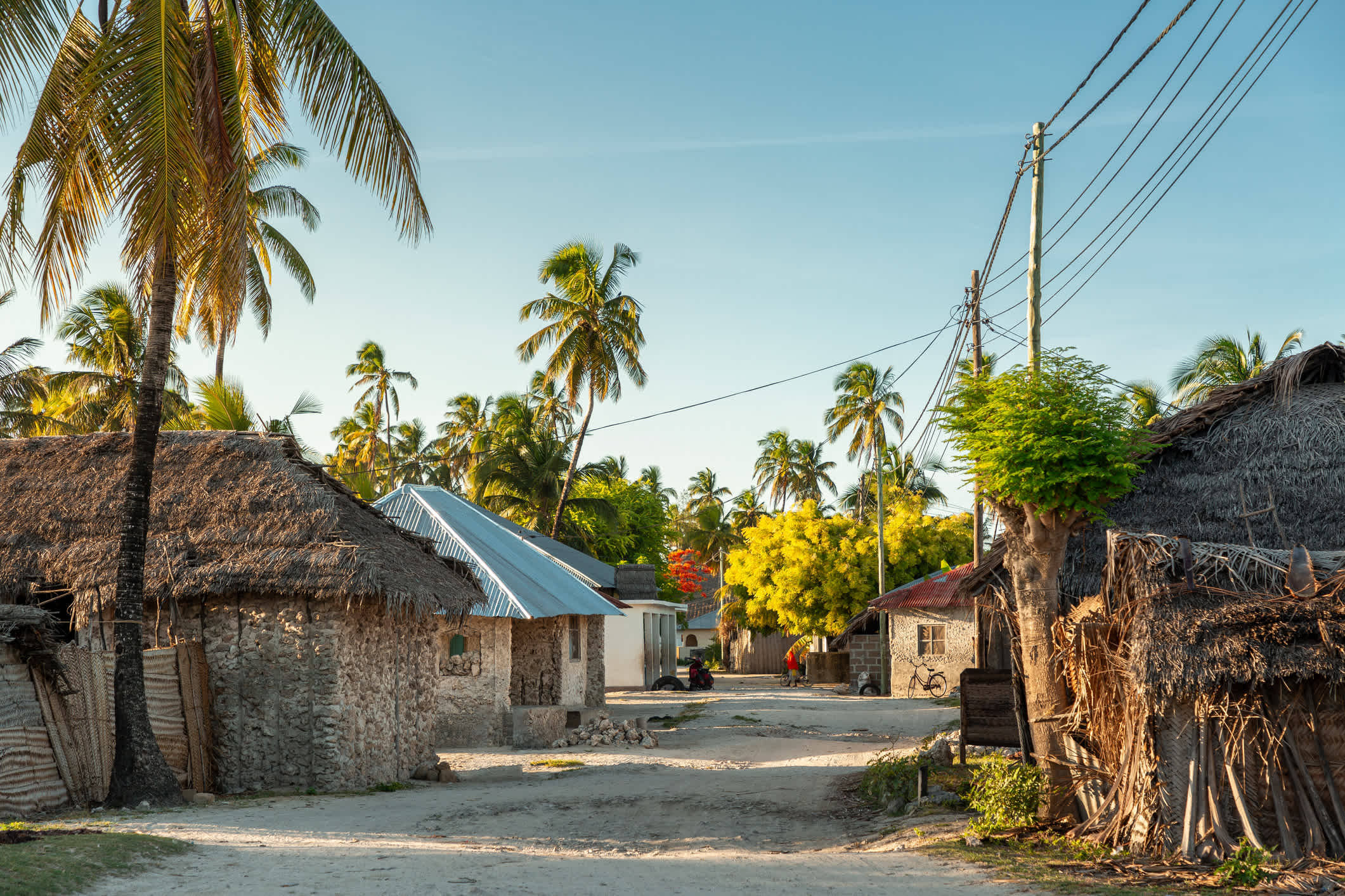 Rue vide avec palmiers dans le village africain de Jambiani, Zanzibar, Tanzanie