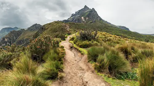 Alle Wünsche wurden verstanden