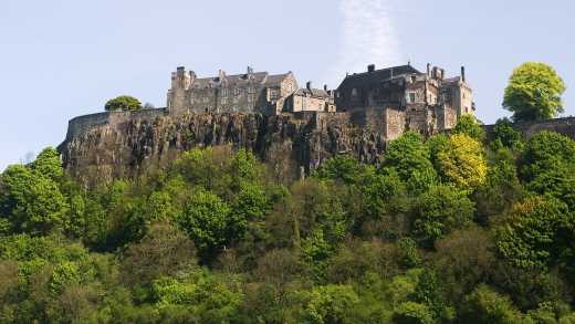 Blick von unten auf die Stirling Castle, die auf einem Berg gelegen und von Bäumen umgeben ist