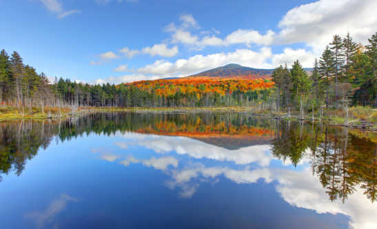 White Mountain National Forest in New Hampshire in den USA
