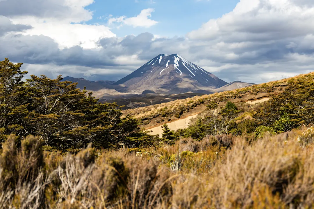 Blick auf den Mount Nagauruhoe im Tongariro Park, Neuseeland