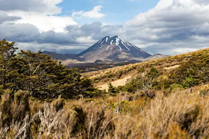 Circuit en Nouvelle-Zélande sur 2 semaines - Image 1