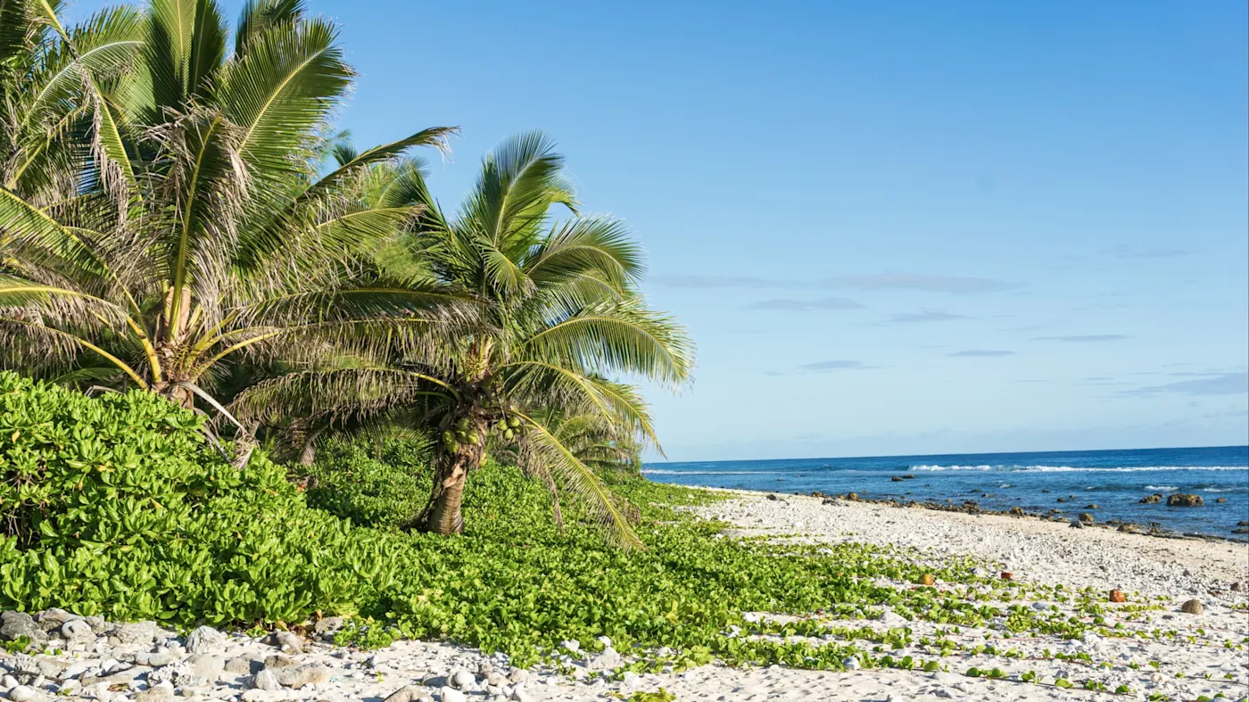 Avarua, Rarotonga, strand, Cookinseln Palmen gesäumter Strand mit üppigem Grün und Blick auf das ruhige Meer. Avarua, Rarotonga, Cookinseln.