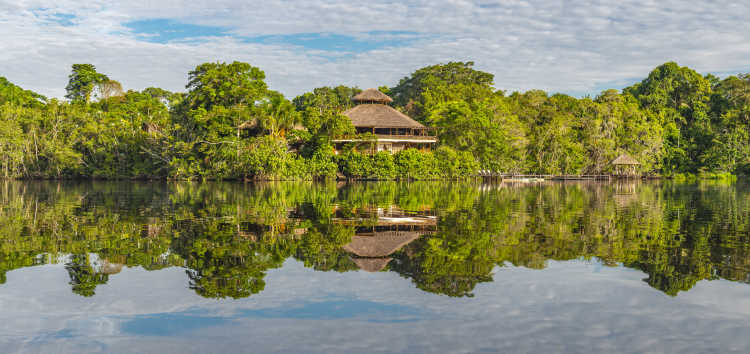 Lodge amazonien au Brésil
