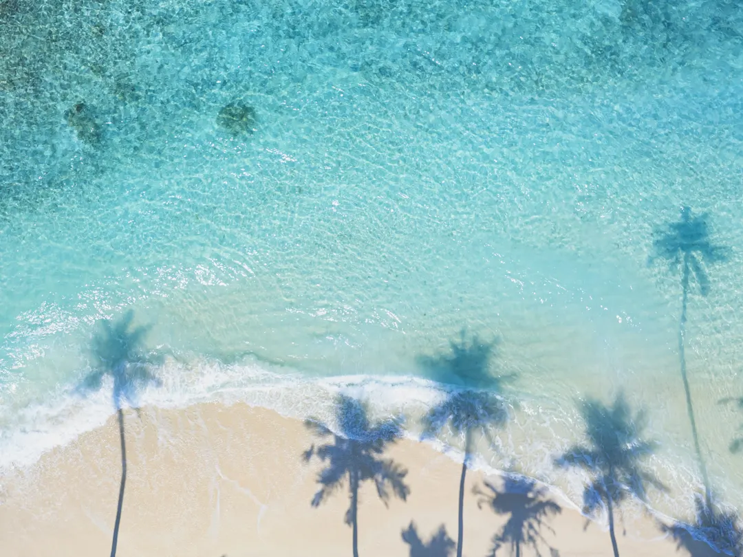 Luftaufnahme eines tropischen Strandes mit türkisfarbenem Wasser und Palmenschatten. Lhaviyani-Atoll, Malediven