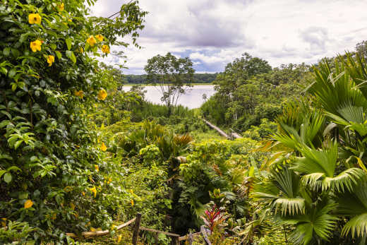 Découvrez le Parque Mundo Amazónico en Colombie 