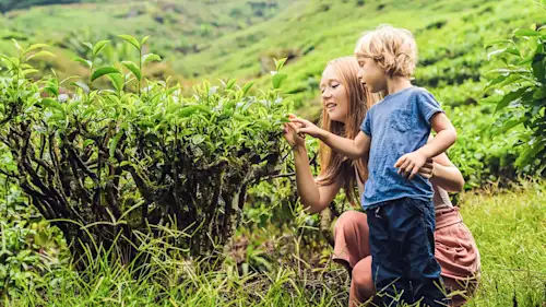 Tolle Sri Lanka-Rundreise als Familie erlebt