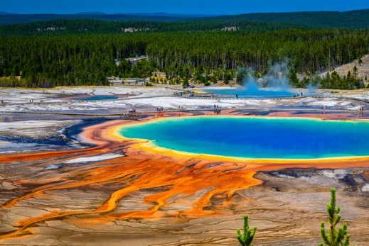 Entdecken Sie die unglaubliche Farbpalette der Grand Prismatic Spring während Ihres Yellowstone-Urlaubs.