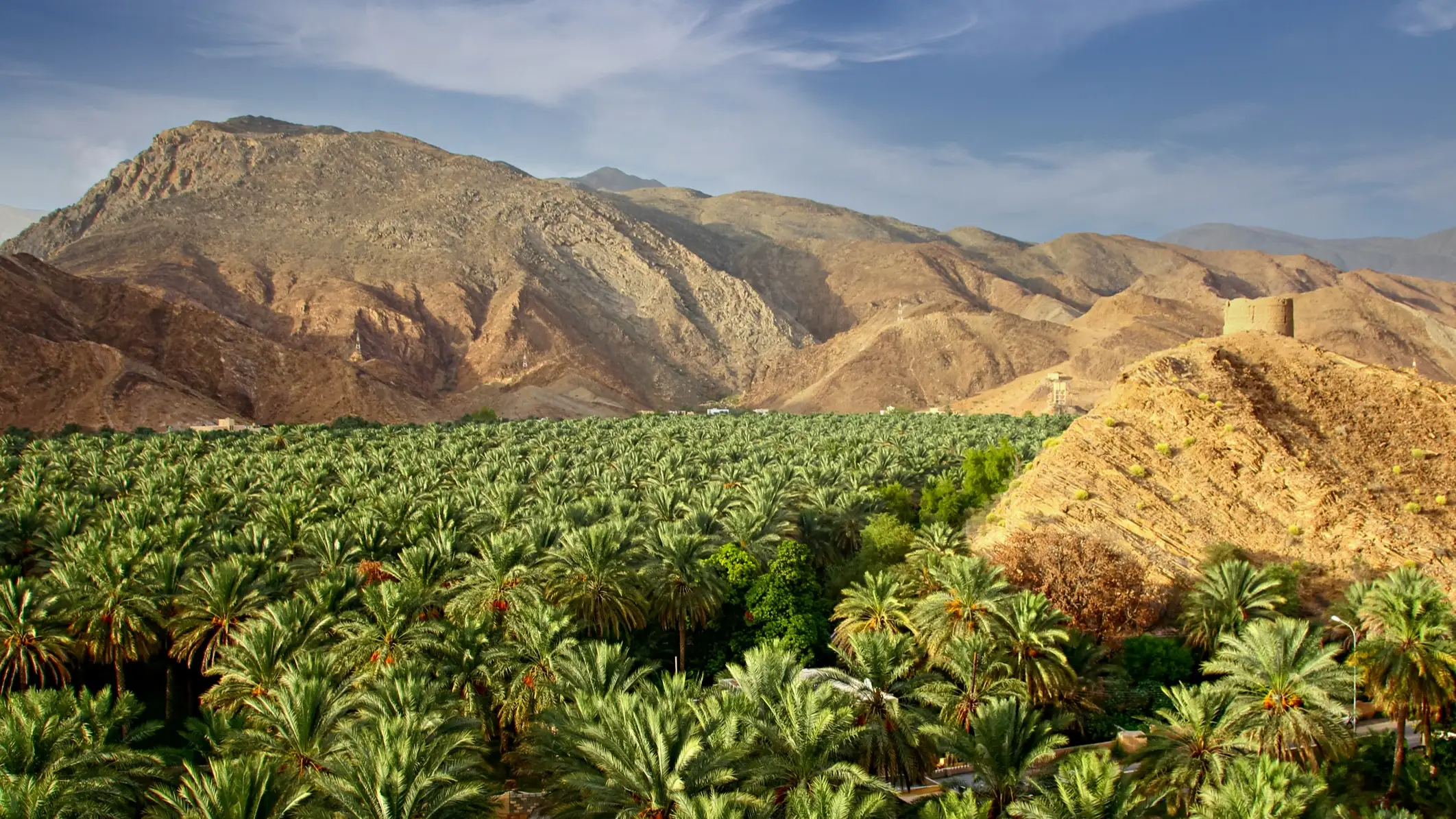 Das Panorama mit Bergen und Obstgarten in der Nähe der Nizwa Festung, Oman. 