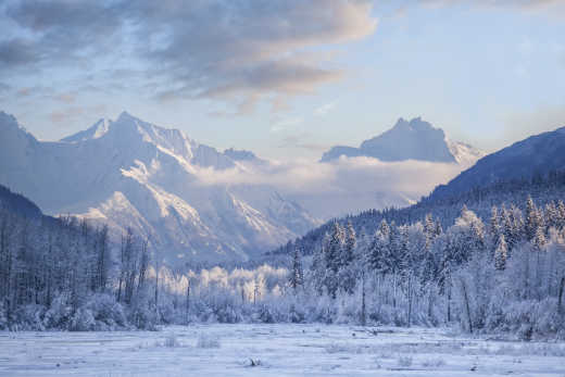 Admirez les vastes paysages enneigés de la région pendant votre voyage en Alaska.