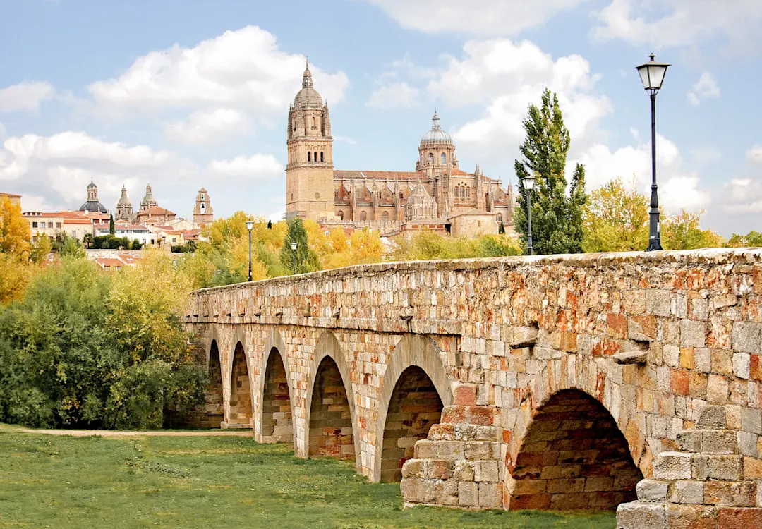Schöne Aussicht auf die historische Stadt Salamanca mit Neuer Kathedrale und römischer Brücke, Region Kastilien und Leon, Spanien
