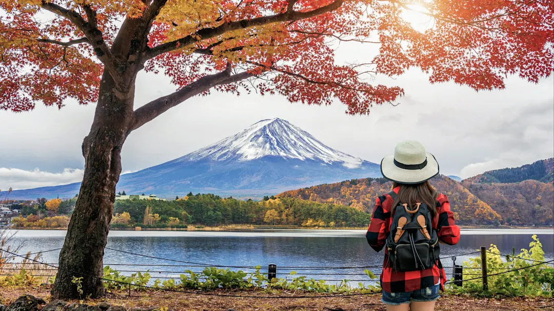 Reisende mit Rucksack betrachtet den Fuji im Herbst. Kawaguchiko, Yamanashi, Japan.